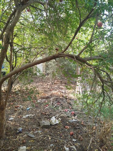 Həyət evləri və villaların satışı: 4 otaqlı, 140 kv. m, Kredit yoxdur, Yeni təmirli — 20