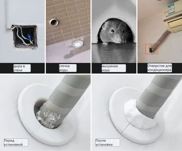 животные для дома: От мышиных нор,от течи водопровода,от трещин стен и многое многое