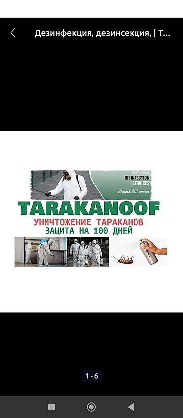Дезинфекция, дезинсекция: Дезинфекция, дезинсекция, | Вирусы, микробы, Мыши и крысы, Блохи, | Офисы, Транспорт, Подвал, погреб — 4