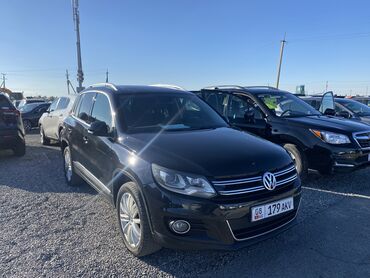 поло 2011: Volkswagen Tiguan: 2011 г., 2 л, Автомат, Бензин, Внедорожник