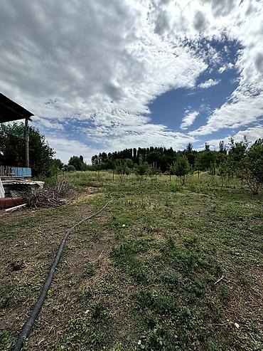 село ленинск: 📌В селе Петровка срочно продаётся дом на участке 40 соток, длина — 6