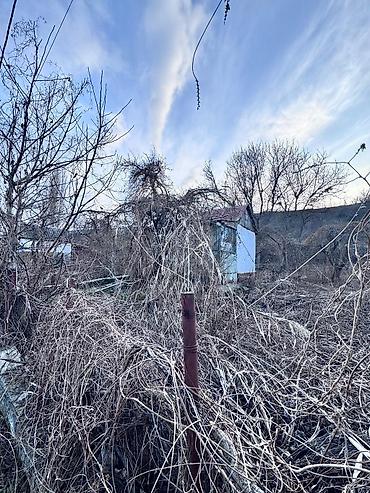 Продажа дач: Продается Садово дачный участок С Беш Кунгей СТ « Электрик « Вторая — 8