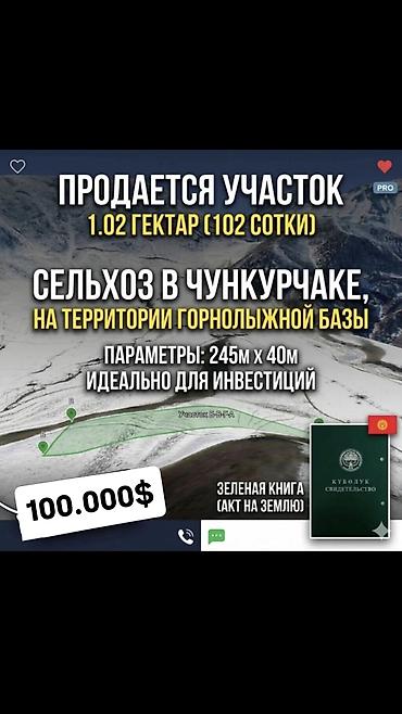 Земельные участки: 268 соток, Для сельского хозяйства, Договор долевого участия — 4