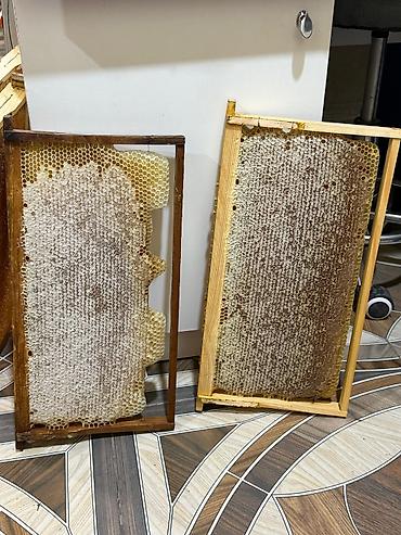 isti su: Kəlbəcər balı. Təbii arı məhsulları – süzülməmiş bal və şan balı - — 4