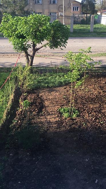 Продажа квартир: 4 комнаты, 88 м², 106 серия улучшенная, 1 этаж, Дизайнерский ремонт — 7