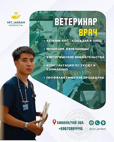 Животные: Ветеринарный врач для КРС, лошадей и овец (выезд) Профессиональная — 1