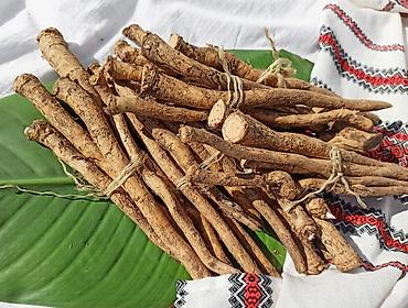 Куплю корни хрена оптом