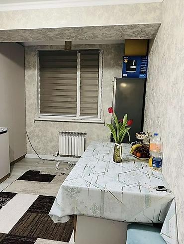 bishkek flat: 1 комната, 43 м², Элитка, 3 этаж, Евроремонт — 4
