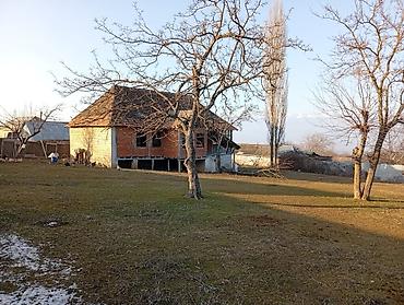 Torpaq sahələrinin satışı: 20 sot, Tikinti, Maklerlər narahat etməsin, Kupça (Çıxarış) -da lalafo.az — 22 Torpaq sahələrinin satışı: 20 sot, Tikinti, Maklerlər narahat etməsin, Kupça (Çıxarış) — 22