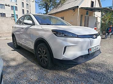 qin plus: Weltmeister EX5, 2021 г., 300000 км, Передний, В наличии — 1