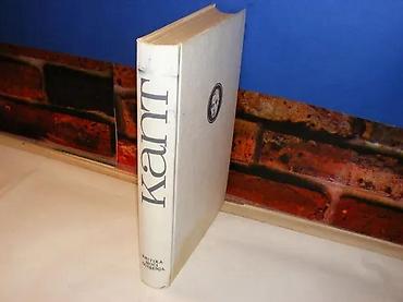 bracne vode: Kritika moći suđenja Imanuel KantFilozofska bibliotekaBigz Beograd — 1