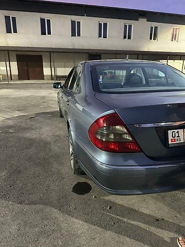 Mercedes-Benz: Mercedes-Benz E-Class: 2006 г., 3 л, Автомат, Дизель, Седан — 10