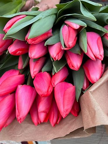Букеты из живых цветов: Голландские Тюльпаны Оптом и в розницу!И Розы размеры 70см 80 см и 60 — 3
