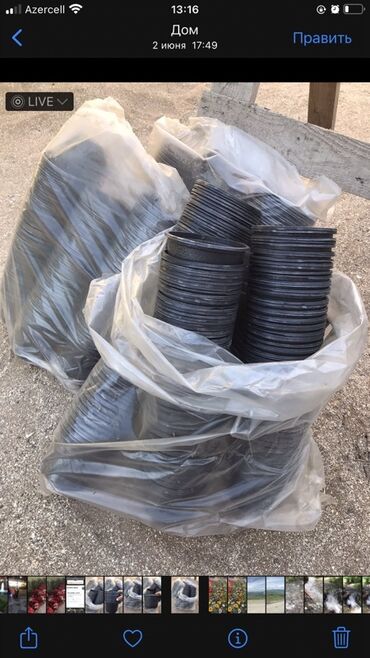 Bağ və bostan üçün digər məhsullar: Məhsul: Plastik ting və dekorativ bitki qabları (qara rəng) Təsvir: -