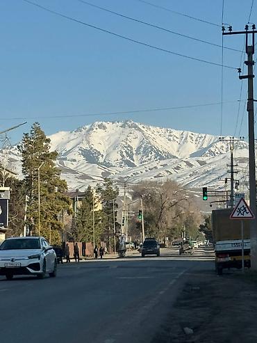 Посуточная аренда домов: Гостевой домик-студия (садовый домик/мини-дача) - Планировка: одна — 14