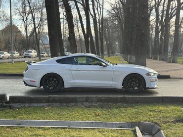 Ford: Ford Mustang: 2020 г., 2.3 л, Автомат, Бензин, Купе — 3