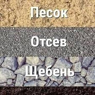 51 роза: Отсев отсев отсев отсев отсев отсев Отсев отсев отсев отсев отсев — 5