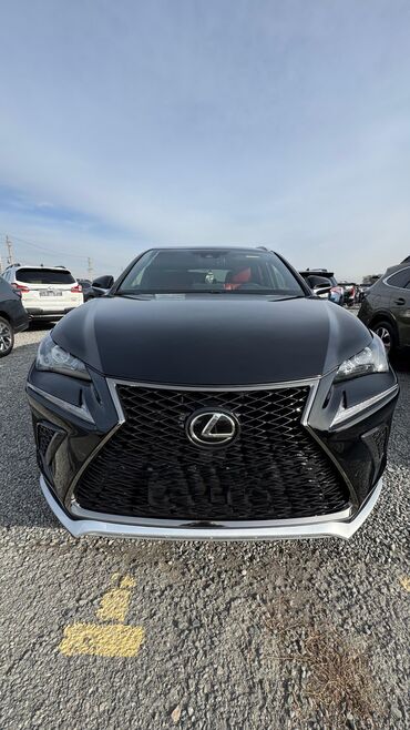 Lexus: Lexus NX: 2019 г., 2 л, Автомат, Бензин, Кроссовер — 2