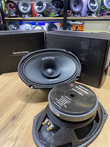 Динамики для авто: Овалы dynamic state — 9