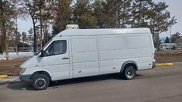 прицепы реф: Mercedes-Benz Спринтер: 1998 г., Фургон — 6