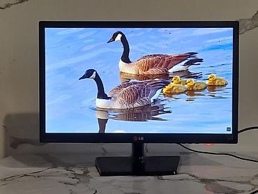 Мониторы: Монитор, LG, Б/у, LCD, 21" - 22" at lalafo.kg — 1 Мониторы: Монитор, LG, Б/у, LCD, 21" - 22" — 1
