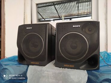 sony 1000: Продаю недорого колонки SONY от магнитолы отличный звук. есть и другие