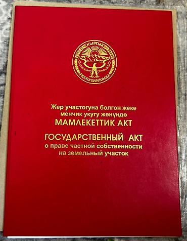 Жер тилкелери: 30 соток, Кызыл китеп — 4