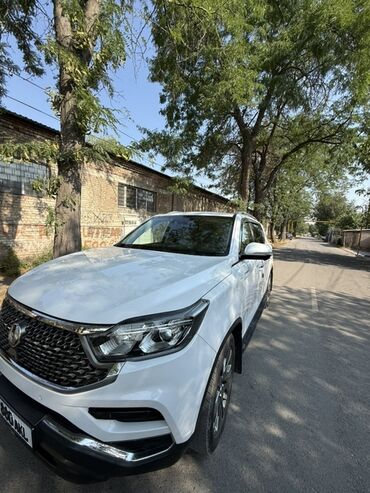 кофр на крышу автомобиля: Белый кроссовер SsangYong Rexton с пробегом 132330 км. Автомобиль