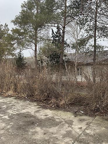 Продажа участков: 11 соток, Для бизнеса, Красная книга, Тех паспорт — 13