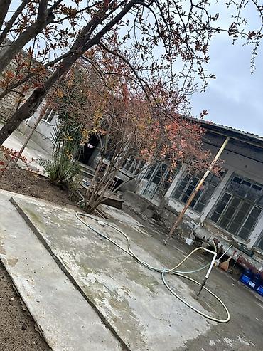 gence prospekti: Həyət evi və geniş torpaq sahəsi - Böyük həyət: tam daş hasarla — 3