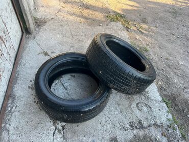 зимние шины для матиз: Шиналар 205 / 55 / R 16, Кыш, Колдонулган, Жуп, Dunlop