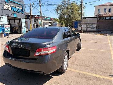 camri: Toyota Camry: 2009 г. — 4