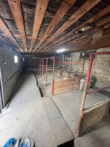 Другая коммерческая недвижимость: Сдаю Конюшню в перспективном районе для содержания лошадей и быков — 5