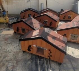 Yuvalar: It və pişik yuvaları — 30