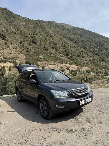 Lexus: Lexus RX: 2004 г., 3 л, Типтроник, Бензин, Кроссовер — 14
