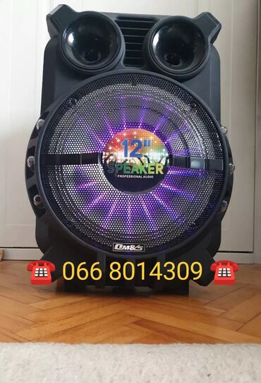 bes audio bw350: Blutut Bluetooth zvučnik 12" +light show 12" +light show efekte kao u