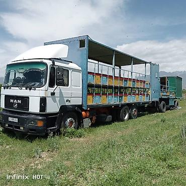 мобильный азс: Грузовой автомобиль MAN с прицепом, переделанный под кочевую пасеку — 3