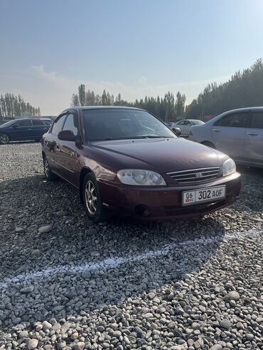 авто в аренду по следуйшем выкупом: Kia Spectra: 2008 г., 1.6 л, Механика, Бензин, Седан