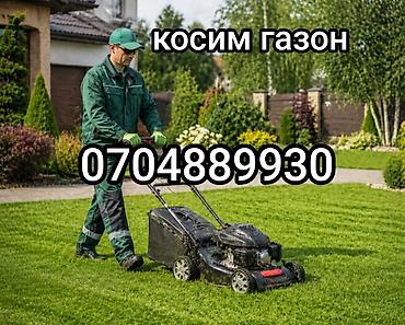 косим трова: Профессиональная услуга по стрижке газонов. Что делаем: - Ровная и — 1