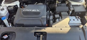 Kia: Kia Sorento: 2 l | 2014 il Ofrouder/SUV — 14