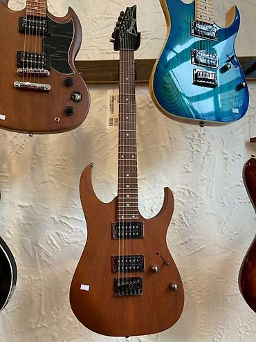 Gitaralar: İbanez RG421-MOL — 1
