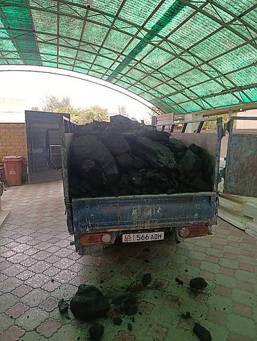 Уголь уголь уголь уголь уголь уголь кара кече беш сары уголь кара кече at lalafo.kg Уголь уголь уголь уголь уголь уголь кара кече беш сары уголь кара кече