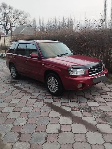 Subaru: Subaru Forester: 2002 г., 2 л, Автомат, Бензин, Универсал — 1