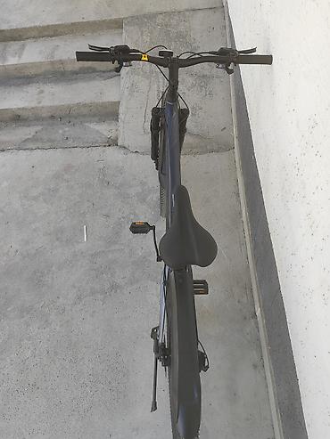 maxxis 29: Горный велосипед с 29" колёсами - Рама: легкосплавная, хардтейл — 2