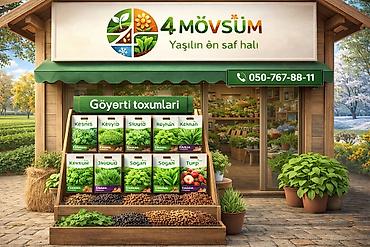 Göyərti tumları 🌱 Ətraflı məlumat üçün əlaqə nömrələri lalafo.az -da Göyərti tumları 🌱 Ətraflı məlumat üçün əlaqə nömrələri