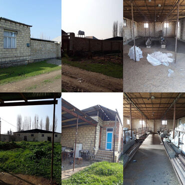 oguz torpaq: Kənd təsərrüfatı, Mülkiyyətçi, Kupça (Çıxarış)
