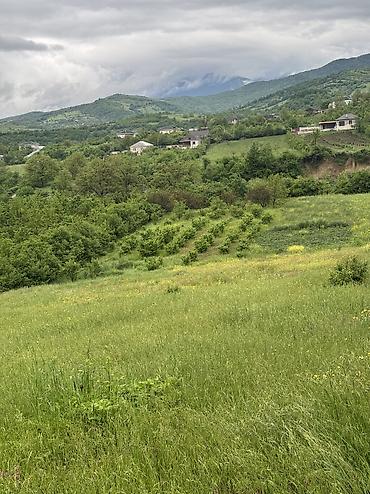 Torpaq sahələrinin satışı: 80 sot, Kənd təsərrüfatı, Mülkiyyətçi, Kupça (Çıxarış), Bələdiyyə — 5