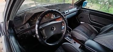 w220 дерево: Mercedes-Benz W124: 1987 г., Автомат, Бензин, Седан — 3