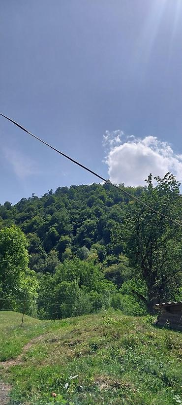 goranboy torpaq: 20 sot, Tikinti, Kupça (Çıxarış) — 2