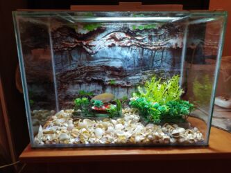 Грызуны: Прямоугольный аквариум, Пустой, 26 л